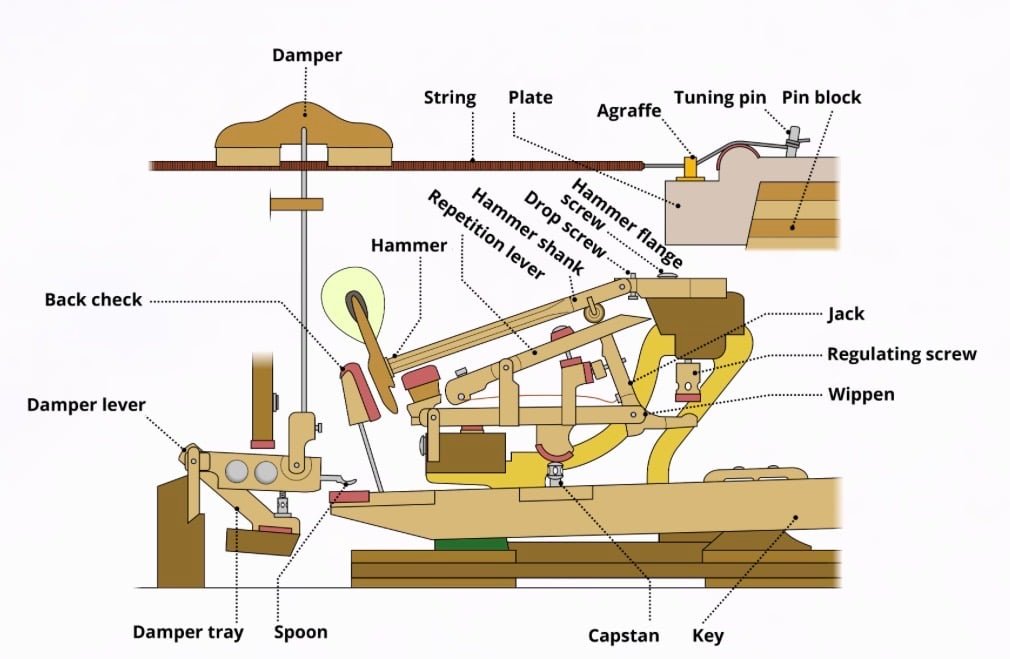 Diagram of a grand piano action composition