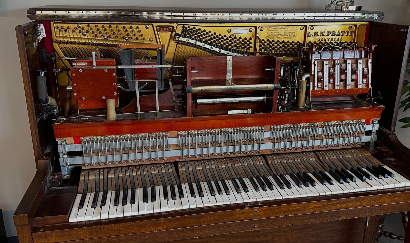 Detailed view of the complex action and pneumatic system of a player piano